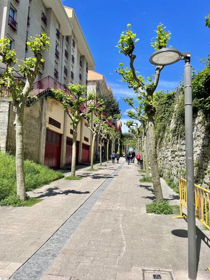 A sunny walkway lined with trees and a stone wall, flanked by buildings with balconies. A few people are strolling along the path, and there’s a streetlight visible.
