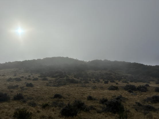 Foggy landscape 