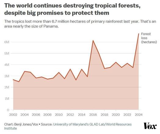The world continues destroying tropical forests,

despite big promises to protect them

The tropics lost more than 6.7 million hectares of primary rainforest last year. That's an

area nearly the size of Panama.
Forest
loss

6M (hectares)

5M

aM

3M

2M

BLY

0
2002 2004 2006 2008 2010 2012 2014 2016 2018 2020 2022 2024
Chart: Benji Jones/Vox * Source: University of Maryland's GLAD Lab/World Resources
Institute Vox
