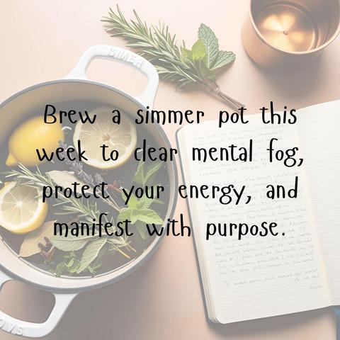 New moon simmer pot