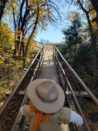 Ranger Sarah crosses a bridge on her way to the rocks on the south side of the park.
— at Mushroom Rock State Park.
