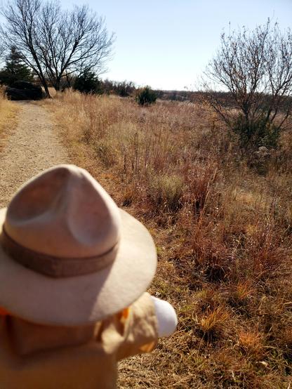 Ranger Sarah hikes down the trail on the way to more rocks.
— at Mushroom Rock State Park.
