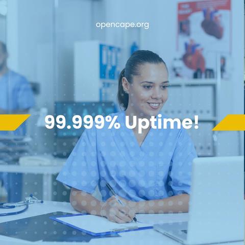 Image of a hospital worker using a computer opencape.org 99.999% uptime
