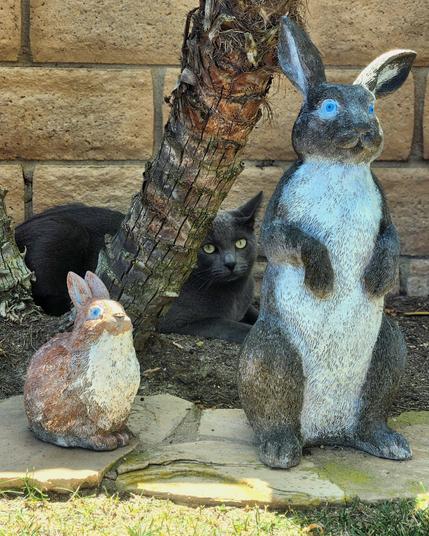 bunny statues with ashe the gray russian blue in the background hiding behind the trunk of a palm tree