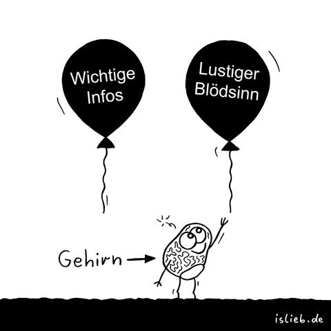 Das Bild zeigt zwei schwebende Luftballons.
Der linke Ballon trägt die Aufschrift „Wichtige Infos“, der rechte Ballon die Aufschrift „Lustiger Blödsinn“.

Unten im Bild steht ein Gehirn aussieht und blickt nach oben. Daneben ist ein Pfeil mit der Beschriftung „Gehirn“ auf diese Figur gerichtet. Das Gehirn streckt seinen Arm aus und versucht, nach dem Ballon „Lustiger Blödsinn“ zu greifen, während es den Ballon „Wichtige Infos“ ignoriert.
