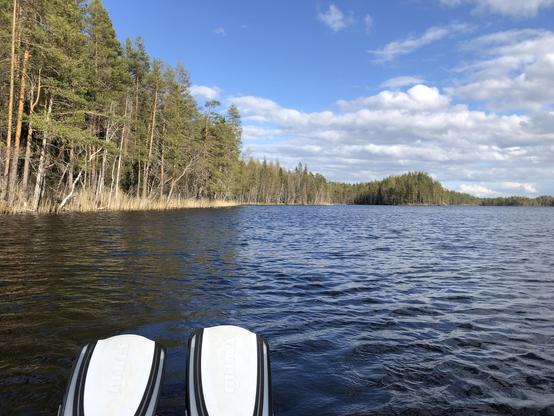 My drift boat fins on a lake overlooking the shores of pine forests. A taller, hilly island is in the distance.