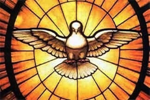 dove