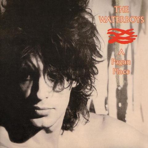 An image of the cover of the album 'A Pagan Place' by The Waterboys