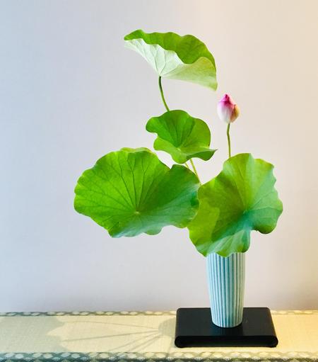 A simple lotus flower arrangement by Mondo Murakami.