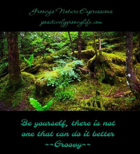 Experience