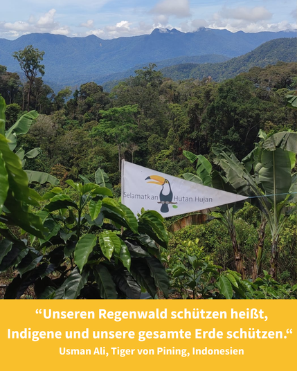 Unseren Regenwald schützen heißt, Indigene und unsere gesamte Erde schützen.