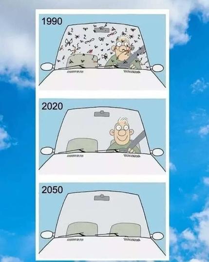 Insects on a windshield. A cartoon capturing changes in driving from 1990 to 2050. First panel: human driving a car, lots of insects on the windshield. Second panel: human driving a car, no insects on the windshield. Last panel: empty car, no insects, no human.