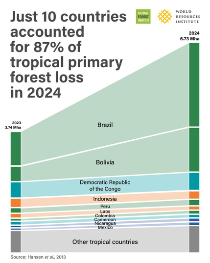 Global Forest Watch’s analysis of hashtag#TreeCoverLoss data from University of Maryland's Global Land Analysis and Discovery (GLAD) reveals the tropics saw an unprecedented level of fires in 2024 — with major impacts on people’s health. Both humans and climate change are playing a role. We cannot afford to ignore the 2024 wake-up call.
