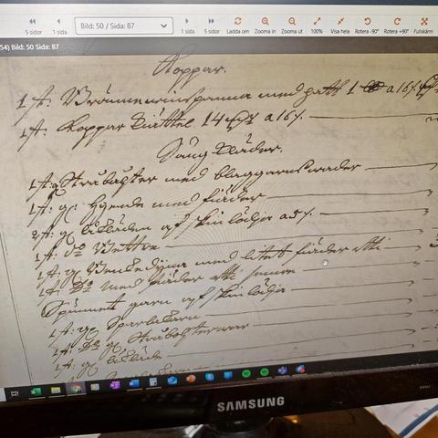 A photo of a computer screen with a text written in Swedish with the German 18th century hand writing alphabet.