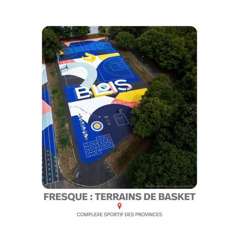 Fresque artistique recouvrant les terrains de basket du complexe des Provinces, apportant couleur et dynamisme au lieu.