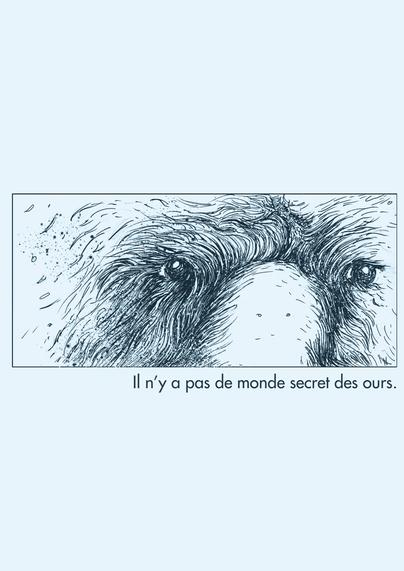 draw of grizzly bear art