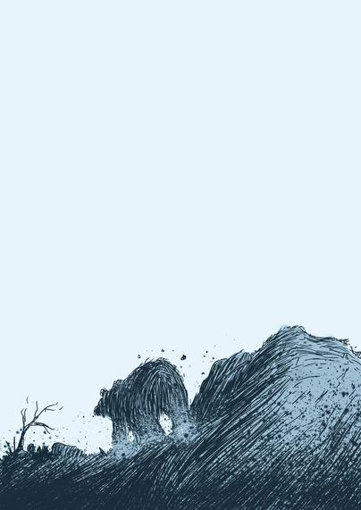 draw of grizzly bear art