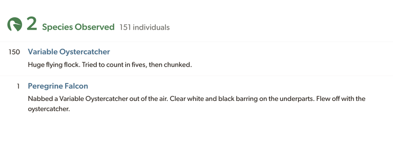 My checklist on eBird