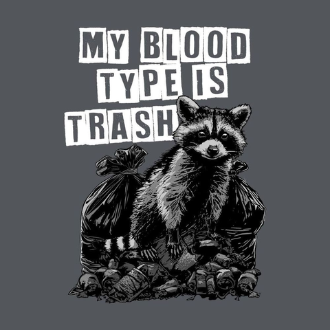 my blood type is trash [pic of raccoon and trash]
