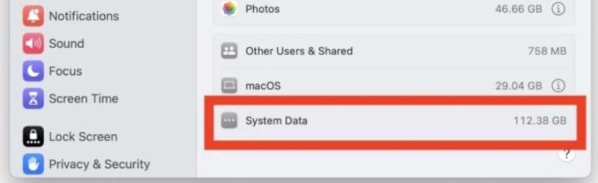 System Data eating up your Mac storage? Clear caches, delete old Time Machine snapshots, remove iOS backups, and empty the Trash to reclaim precious space fast. #MacTips #StorageCleanup #TechSupport