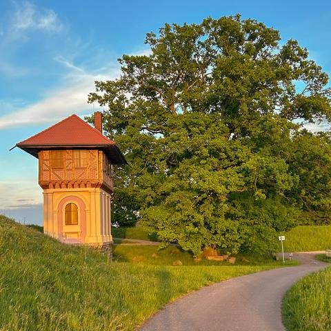 Radwandern in der Welterberegion