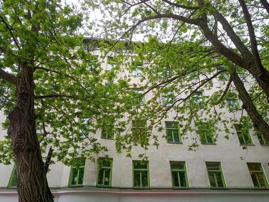 Off white 5 storey block of flats where the window frames are painted light green. In front of the building two large trees with spring green leaves. 