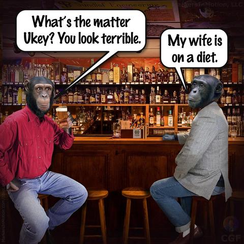Comic created by Christopher Ferman 
Ukey (an ape bartender) is sitting at his bar, Go Tavern. He is talking to a his best friend and brother-in-law, Juan Bigliar. The Juan says to Ukey, 
"What's the matter Ukey? You look terrible"
Ukey's reply, "My wife is on a diet"
= = = = =
GoTavern: Wife is on Diet
© 2023 Markers In Motion, LLC. &. Christopher G. Ferman
This content is subject to copyright.
www.MarkersInMotion.com