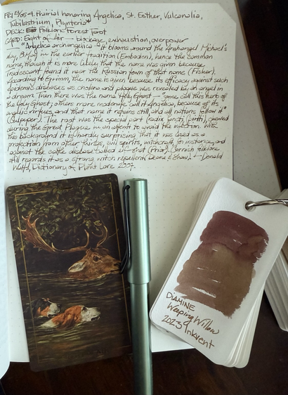 Open notebook with handwritten text from the post at the of the page with additional text: “Angelica archangelica - It blooms around the Archangel Michael’s Day, 8 May in the earlier tradition (Emboden), hence the comon name, though it is more likely that the name was given because Tradescant found it near the Russian town of that name (Fisher). According to Grimm, the name is given because its efficacy against such epidemic diseases as cholera and the plague was revealed by an angel in a dream. Then there was the name Holy Ghost – “some call this an herb of the Holy Ghost; others more moderate call it Angelica, because of its angelic virtues, and that name it retains still, and all nations follow it” (Culpeper). The root was the special part (radix Sancti Spiriti), chewed during the Great Plague in an attempt to avoid the infection. With this background it is hardly surprising that it was used as a protection from other things, evil spirits, witchcraft, for instance, and against the cattle disease called elf-shot (Prior). Cornish folklore still regards it as a strong witch repellent (Deane & Shaw).” — Donald Watts, Dictionary of Plant Lore 2007. Below the text is a card of the painting A Stag at Bay (1899) by John Emms (English 1843-1912) featuring two hounds swimming next to a stag, a pale green fountain pen, and a swampy light reddish brown ink. 