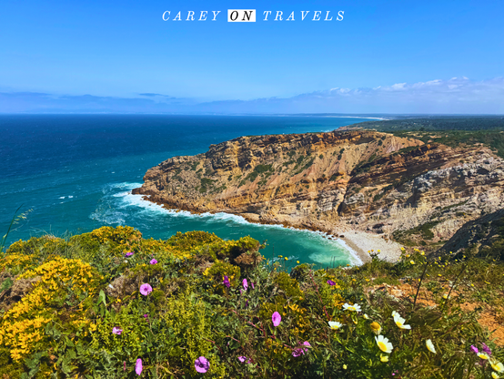 Wildflowers with a view over cliffs at Cabo Espichel