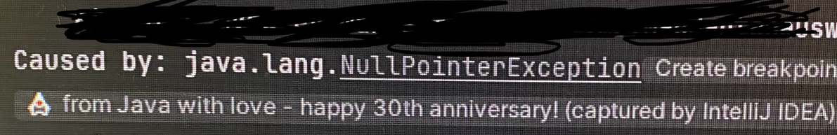 Jetbrains IntelliJ’s Happy 30th anniversary message triggered by a NullPointerException in a program’s output