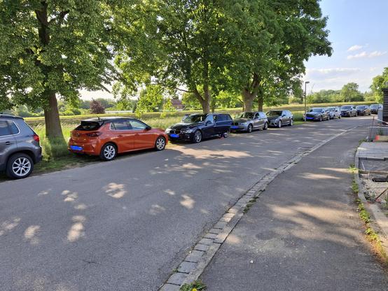 Reiherweg in Neu-Ulm Ortsteil Ludwigsfeld, eine lange Reihe von Pkw, die neben der Straße in der Grünanlage am Illerkanal parken.