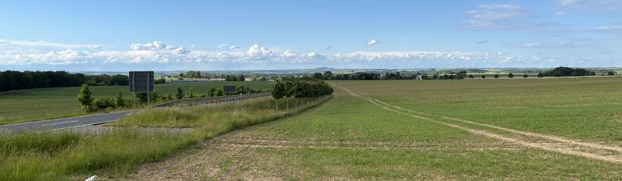 Landschaft bei Hartha, im Vordergrund ein Feld, am Horizont der Collm, blauer Himmel mit Wölkchen