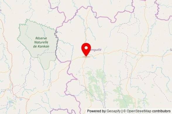 A map showing the area of Odienné with a pin at the position of Cathédrale Saint-Augustin d'Odienné, Avenue Vakaba Touré, Odienné, Côte d'Ivoire
