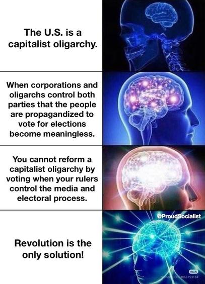 The U.S. is a capitalist oligarchy.

When corporations and oligarchs control both parties that the people are propagandized to vote for elections become meaningless.

You cannot reform a capitalist oligarchy by voting when your rulers control the media and electoral process.

Revolution is the only solution!