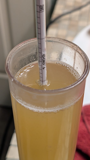A close up photo of a hydrometer floating in a sample of beer, showing the Specific Gravity to be 1.006. The reason I wrote 1.008 in my post is because the beer temp was higher (75F) than the calibration temp for the hydrometer (60F) if the beer had been the correct temp the hydrometer would be floating at 1.008