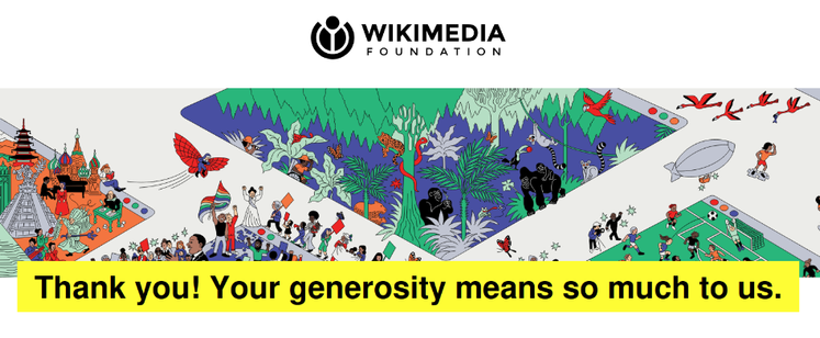 Wikimedia donation
