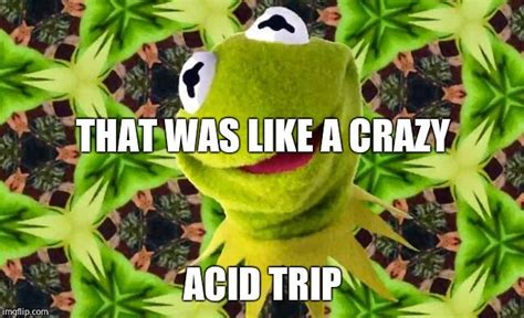 A Kermit the frog meme saying "THAT WAS LIKE A CRAZY ACID TRIP".