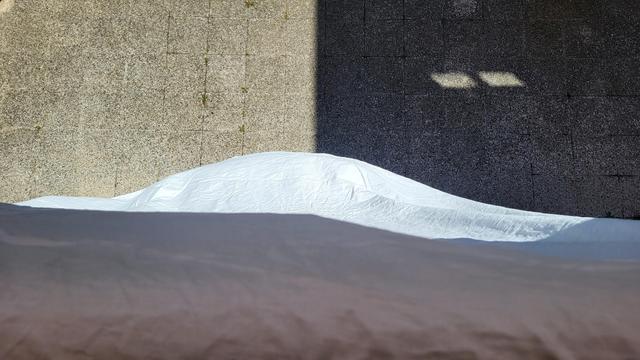 #50000sudari 
#ultimogiornodigaza