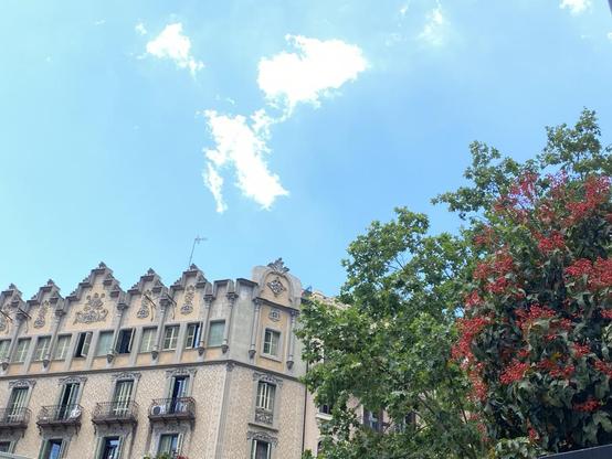 A building on the left of the image at the modernist noucentiste architecture style, on the right covered by a tree with red flowers ready to bloom. The sky is very bright and sunny making the building and tree seem like a cutout.
