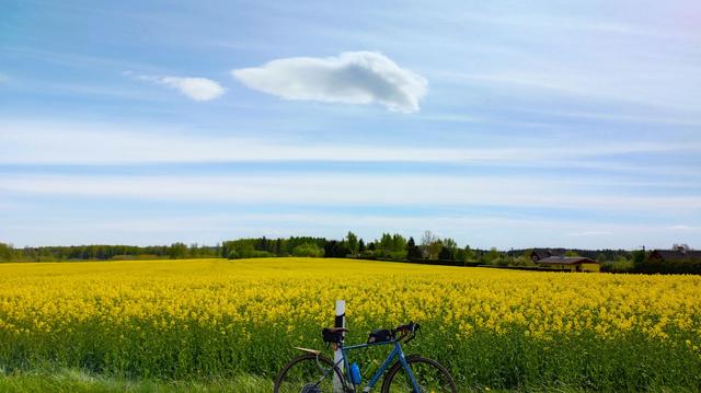 #cycling #sunny