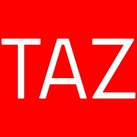 Artikel in der TAZ
