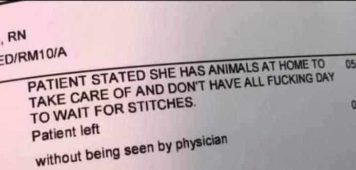 PATIENT STATED SHE HAS ANIMALS AT HOME to TAKE CARE OF AND DON'T HAVE ALL FUCKING DAY to WAIT FOR STITCHES.

Patient left without being seen by physician