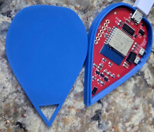 Salt Sentry board
