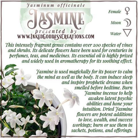 A sprig of jasmine including stems, leaves, buds, and flowers sits against a white background. The text explains jasmine's metaphysical correspondences, some trivia about it, and ways to use it in your magickal practice. The text reads, in part: "Jasmine is used magickally for its power to calm the mind as well as the body. It can induce sleep and inspire prophetic dreams when smelled before bedtime." Presented by Inked Goddess Creations.