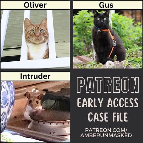 Collage: against a dark grey background is a collage of 3 images:
orange and white cat Oliver looking out from between the railings of the balcony (text above: Oliver); black cat Gus sitting outside (text above: Gus); photo of a mouse on a stove (text above: Intruder)
text: Patreon early access case file patreon.com/amberunmasked
