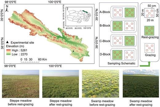 Map of the study area, experimental layout and before and after rest-grazing of StM and SwM.