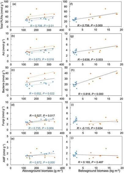 Correlation between soil microorganisms of (a, f) Total PLFAs, (b, g) Act, (c, h) Bacteria, (d, i) Fungi, (e, j) AMF and above-/below-ground biomass in StM and SwM in different years of rest-grazing.