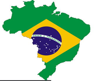 Mapa verde do Brasil com a bandeira nacional no centro. Não, esse post não é sobre você sabe quem, mas sobre livros.