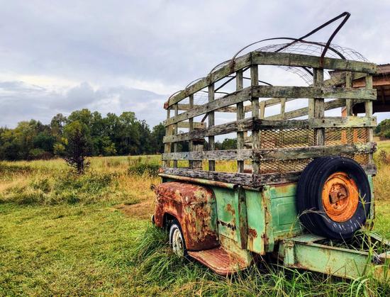 An old, weathered green pickup truck, showing rust and faded paint, sits abandoned in a grassy field; its bed has tall wooden railings, and a spare tire is mounted on the side, with trees in the background under an overcast sky.