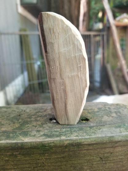 step two of carving a fish specifically is The Curve. now it's still mostly a block but with one long side carved round, tapering at both ends